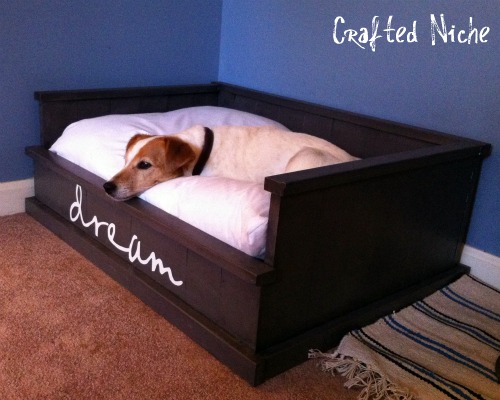 Dona's adorable puppy and her new bed!