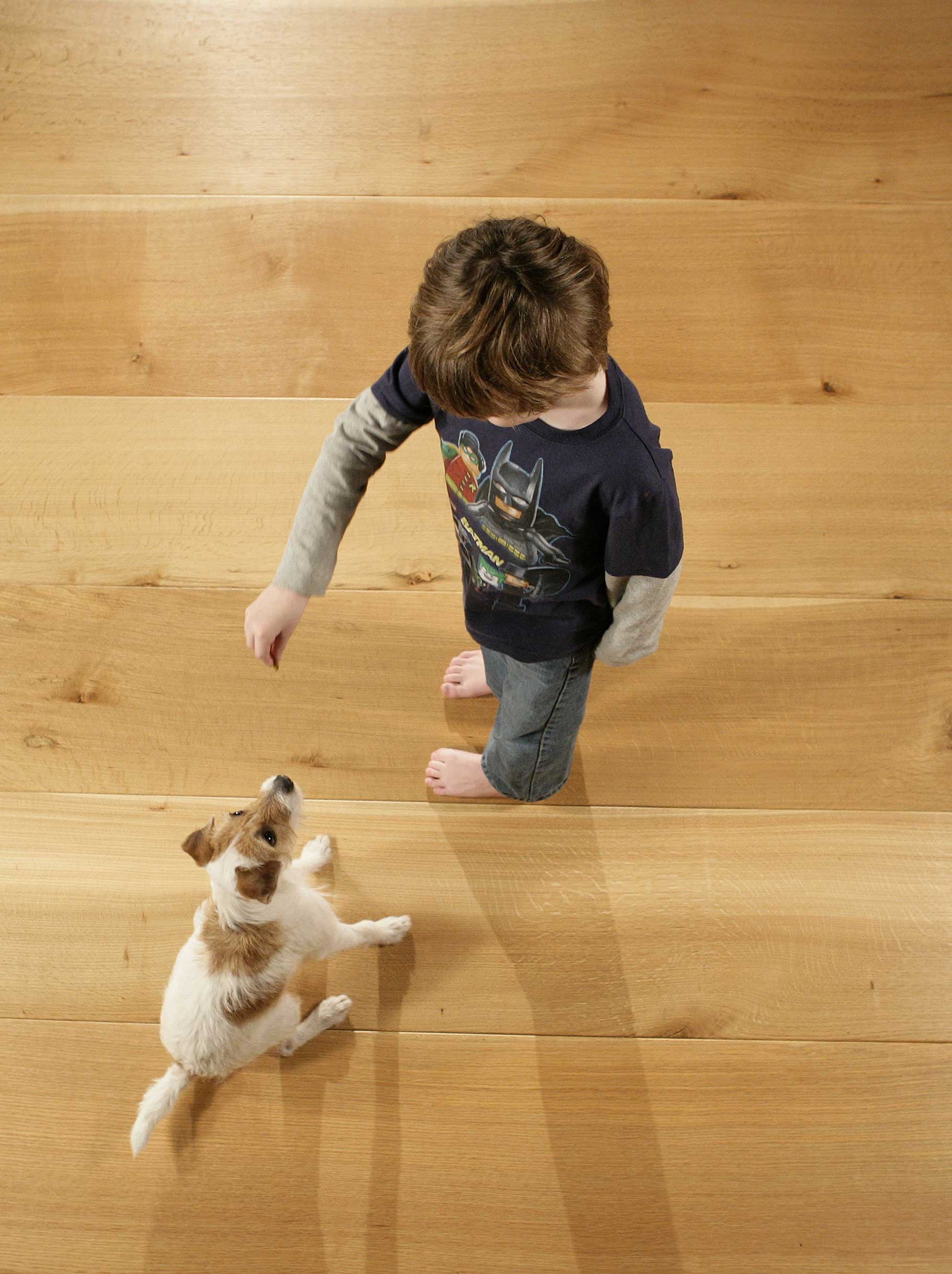 Which Wood Floor Is Best For Dogs, What Type Of Hardwood Floor Is Best For Dogs