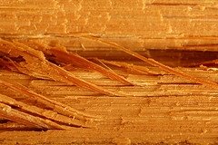 Splinters On Ageing Wood Floors, How To Repair Splintered Hardwood Floor