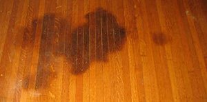 Curing Stains On Real Wood Floors, What Causes Dark Spots On Hardwood Floors